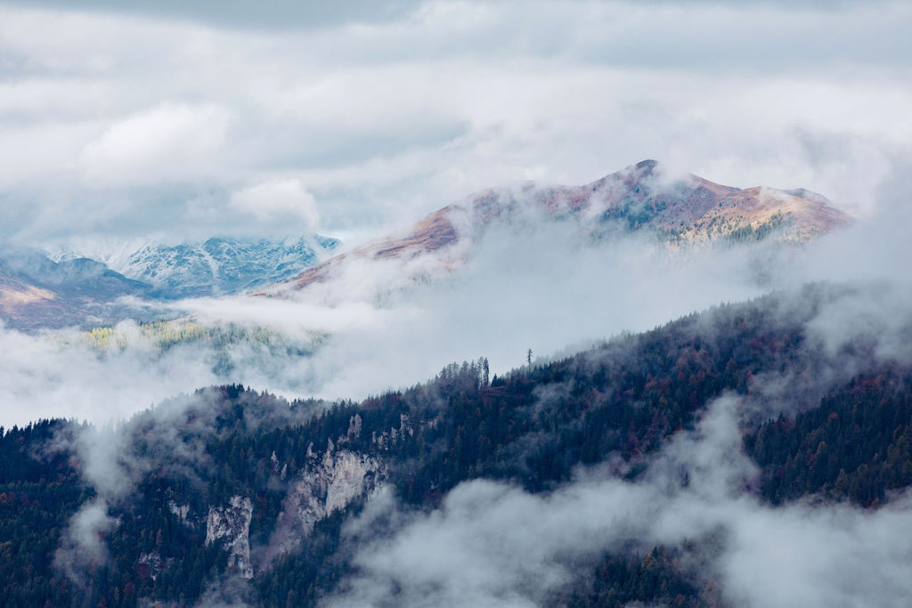 Gralhof_herbst_2019-430_M